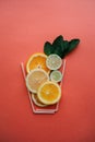 Conceptual photography. Citrus lemonade or juice from fresh fruits in a glass of tubules Royalty Free Stock Photo