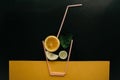 Conceptual photography. Citrus lemonade or juice from fresh fruits in a glass of tubules Royalty Free Stock Photo