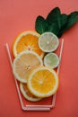 Conceptual photography. Citrus lemonade or juice from fresh fruits in a glass of tubules Royalty Free Stock Photo