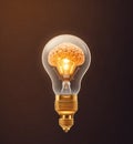 Conceptual Picture of The Brain and The Bulb