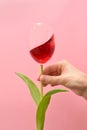 Conceptual Red Wine In Glass Like Beautiful Tulip Royalty Free Stock Photo