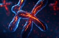 Dynamic Chromatin X-Chromosome with Molecular Complexity