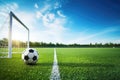 conceptual shot of sports field with goalpost and ball