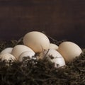 Conceptual still-life with hen eggs in nest on dark background