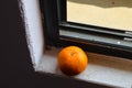 Conceptual still life of a tangerine fruit on the window sill