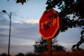 Conceptual stop sign illuminated by the sunset sun