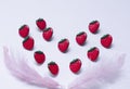 Conceptual strawberries with feather