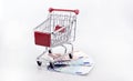 Conceptual studio shot of a bunch of euro banknotes filling a shopping cart on white background september 18, 2016