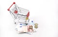 Conceptual studio shot of a bunch of euro banknotes filling a shopping cart on white background september 18, 2016