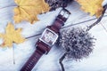 Conceptual Time Yellow Leaves Autumn Year Watch Lichen Hour Zone Cork Leather Strap