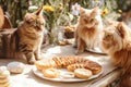 Concerned Cats Watching Their Owner\'s Unhealthy Eating Habits on a Colorful Dining Table