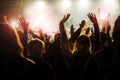 Concert Royalty Free Stock Photo