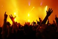 Concert Crowd Royalty Free Stock Photo