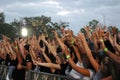 Concert crowd cheering behind barrier