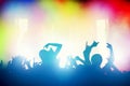 Concert, disco party. People having fun in night club Royalty Free Stock Photo