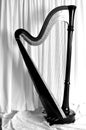 Concert grand pedal harp against white curtains