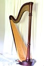 Concert grand pedal harp against white curtains