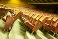 Concert hall stairs and seats Royalty Free Stock Photo