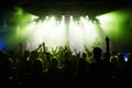 This concert is rockin'. Rear-view of a cheering crowd at a music concert-This concert was created for the sole Royalty Free Stock Photo