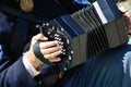 Concertina Accordion Royalty Free Stock Photo