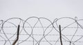 Concertina wire over gray sky