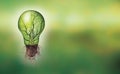 Banner Renewable energy concept - Eco light bulb with leaf and branches inside and roots Royalty Free Stock Photo