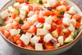 Conch ceviche salad with vegetables such as tomatoes, cucumbers, onions, peppers close-up in a bowl. horizontal