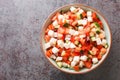 Conch ceviche salad with vegetables such as tomatoes, cucumbers, onions, peppers close-up in a bowl. horizontal top view