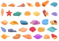Conch icons set cartoon vector. Shell beach