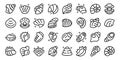 Conch icons set outline vector. Shell beach