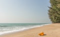 Conch shell on beach with waves. Royalty Free Stock Photo