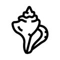 Conch shell outline vector icon on white background Royalty Free Stock Photo