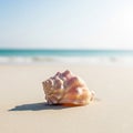 A conch shell rests on a sandy beach. Its spiral structure features a blend of soft pink and beige Royalty Free Stock Photo
