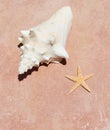 Conch shell on sand beach with sea Royalty Free Stock Photo