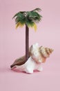 A conch shell used as a metaphor for a tropical island