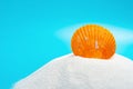 Conch shell on white sand on blue background Royalty Free Stock Photo