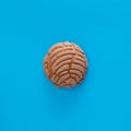 Concha Bread, Mexican Sweet Scone on Blue Surface.