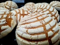 concha pan dulce MÃ©xico sweet bread of Mexico Royalty Free Stock Photo