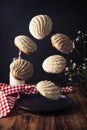 Conchas Flotando Royalty Free Stock Photo
