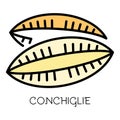 Conchiglie pasta icon color outline vector Royalty Free Stock Photo