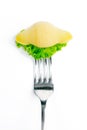 Conchiglie pasta with lettuce on a fork isolated against white Royalty Free Stock Photo