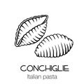 Conchiglie pasta outline icon