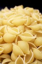 Conchiglie pasta shells Royalty Free Stock Photo