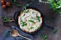 Conchigliei stuffed pasta shells with ricotta cheese mozerella and basil leaves Royalty Free Stock Photo