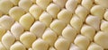 Conchiglioni, italian jumbo shell pasta