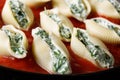 Conchiglioni pasta stuffed with spinach and ricotta cheese macro