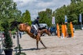 Concours hippique horseback jumping Royalty Free Stock Photo