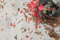 Concrete Background with Flower Pedals, Leaves and a Rock Pot