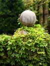 Concrete Ball Cap Ivy Covered Royalty Free Stock Photo