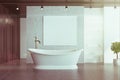 Concrete bathroom, elegant tub and poster toned Royalty Free Stock Photo